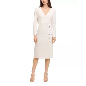 Maggie London Bone Sheath Dress
